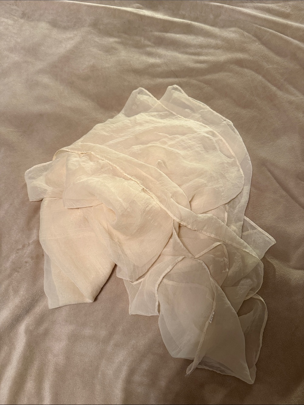 Light Cream Sheer Scarf - Elegant Women's Accessory